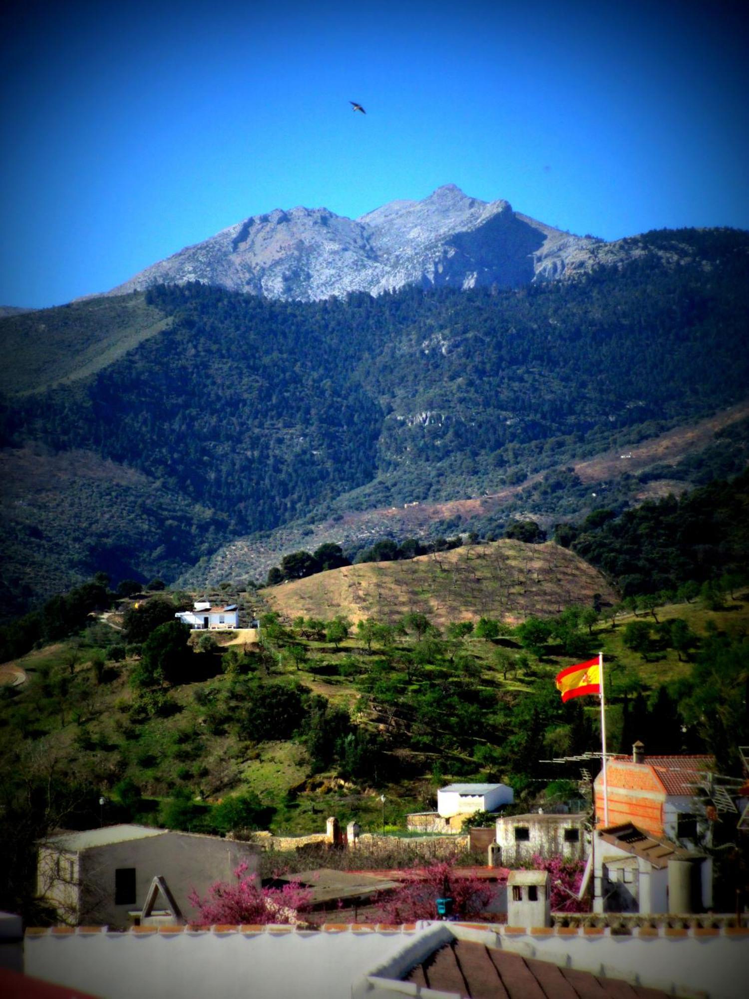Casa Rural Torrecilla, 1919 Yunquera Buitenkant foto